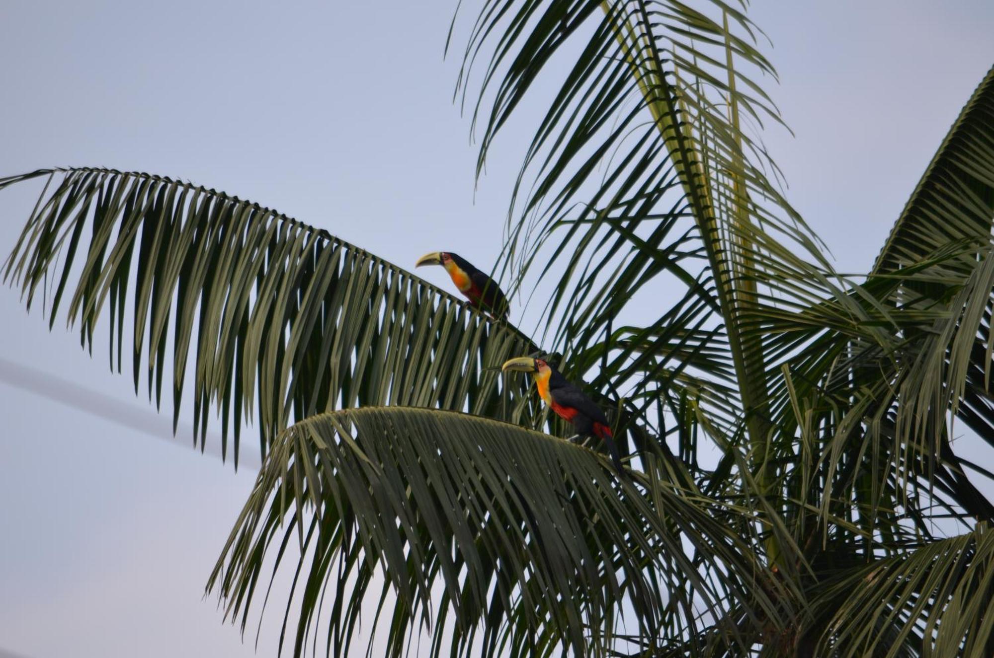 Pousada Alto Pirapitinga Villa Resende Exteriör bild