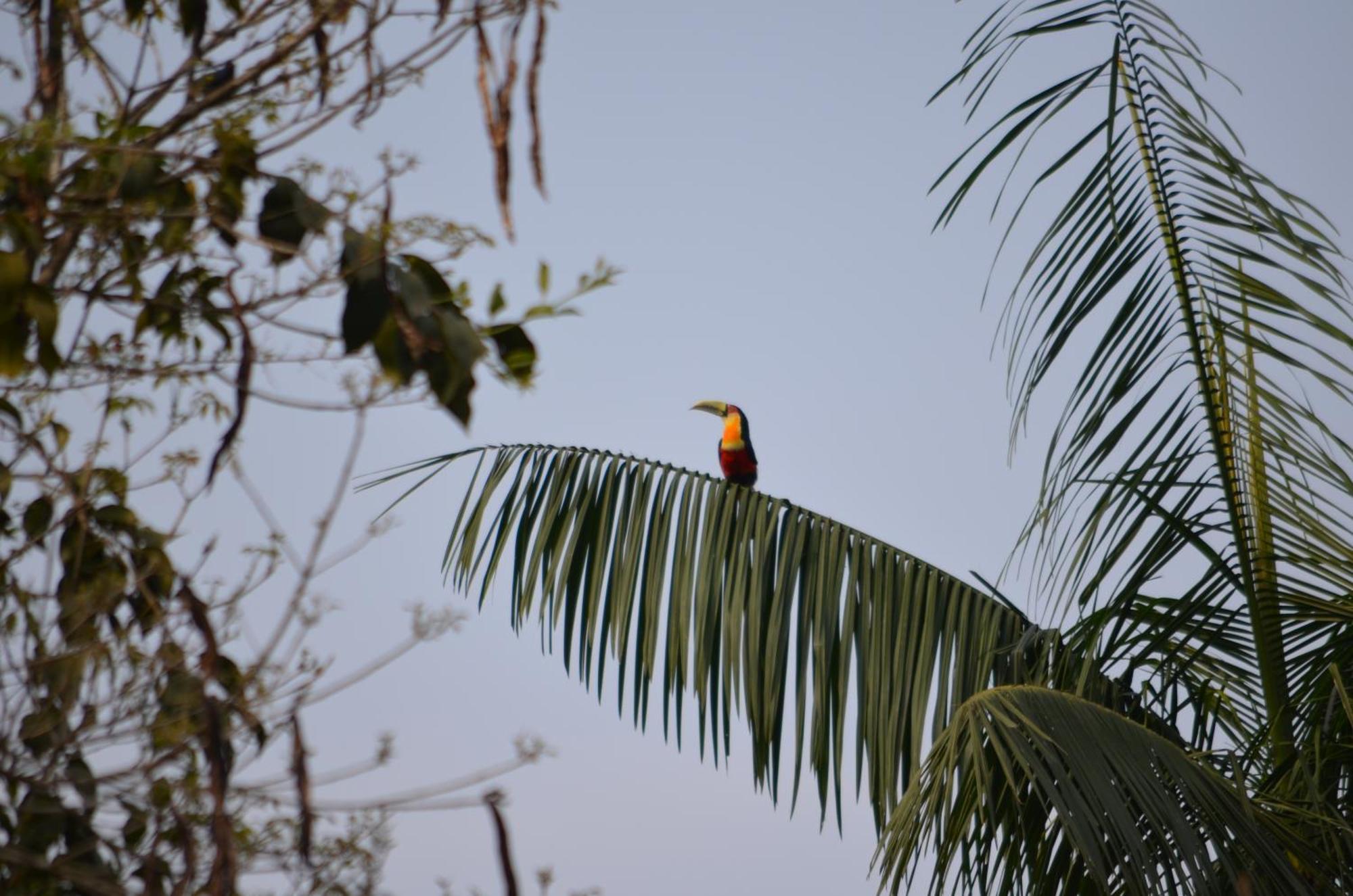 Pousada Alto Pirapitinga Villa Resende Exteriör bild